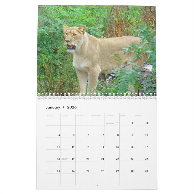 Tiere von Brookfield Zoo Kalender (Jan 2026)