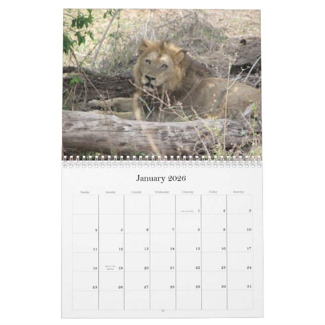 Tiere von Südafrika Kalender (Jan 2026)