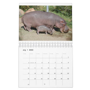 Tiere weltweit 5,5" x 7" Kalender 2021