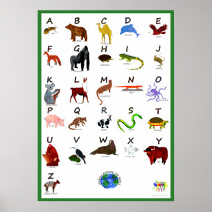 TIERE WELTWEIT ABC POSTER