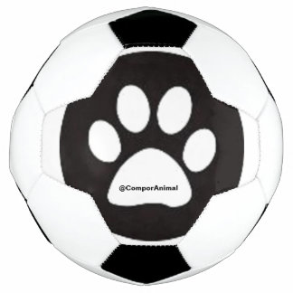 Tierfährte Fußball
