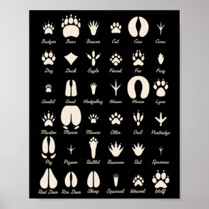 Tierfährten Gewöhnliche Tiere und Wildtierfährten Poster