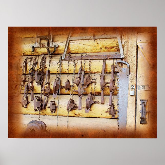 Tierfallen in Alaska Poster (Vorne)