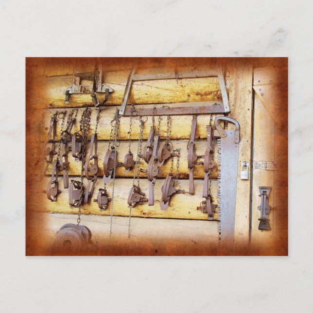 Tierfallen in Alaska Postkarte (Vorderseite)