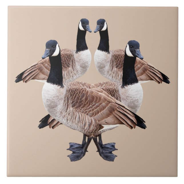 Tierfliese, Keramik, Vögel, Gänse, Gans Fliese (Vorderseite)