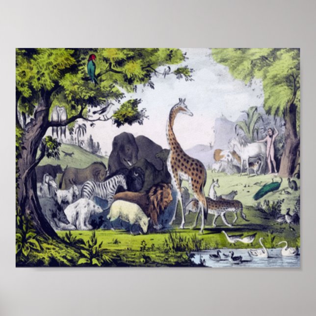 Tiergruppe Poster (Vorne)