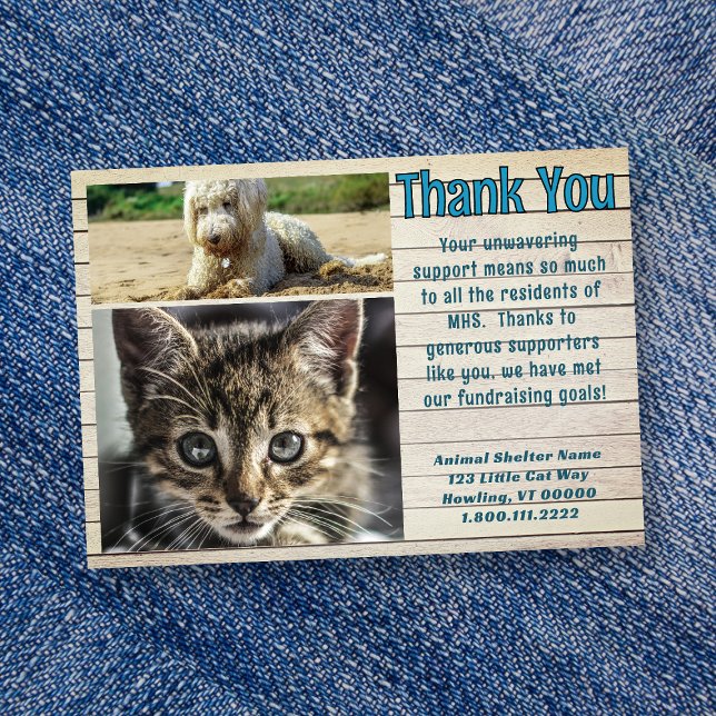 Tierheim Foto-Vorlage Dankeskarten Einladung (Von Creator hochgeladen)