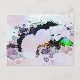 *~* Tierische AP18-SchneFox Weißer Polar Fox Postkarte