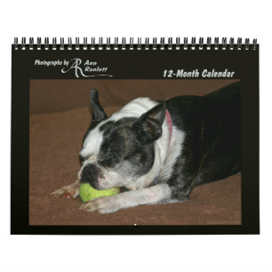 Tierische Fotos - 12-monatiger Kalender