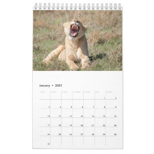 Tierkalender 2021 kalender