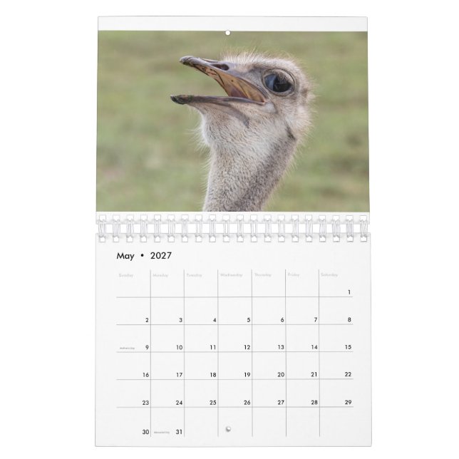 Tierkalender 2026 kalender (Mai 2027)