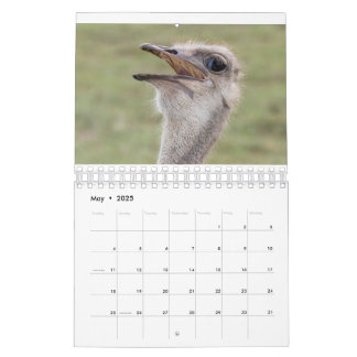 Tierkalender 2026 kalender