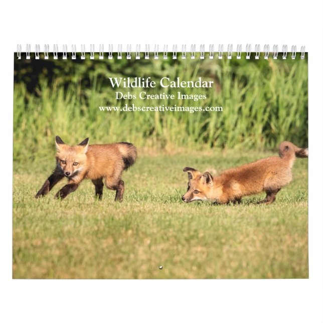 Tierkalender 2026 kalender (Titelbild)