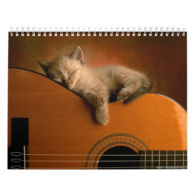 Tierkalender 7 kalender (Titelbild)