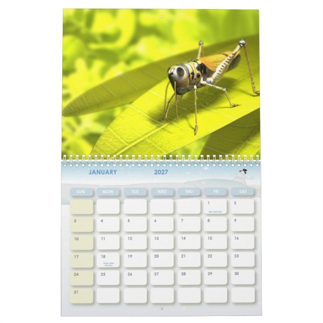 Tierkalender 8 kalender (Jan 2027)