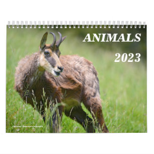 Tierkalender Kalender