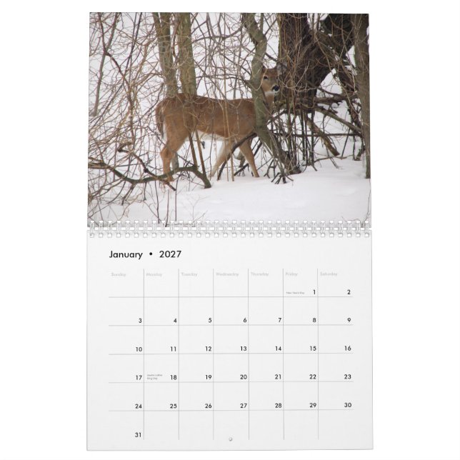 Tierkalender Kalender (Jan 2027)