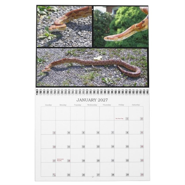 Tierkalender Kalender (Jan 2027)