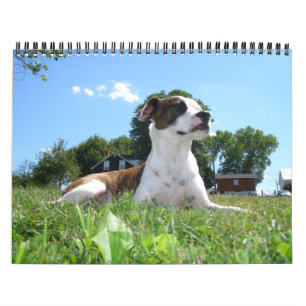 Tierkalender Kalender