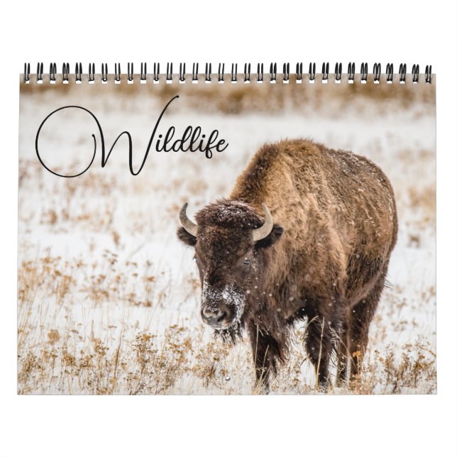 Tierkalender mit Beschriftungen Kalender (Titelbild)