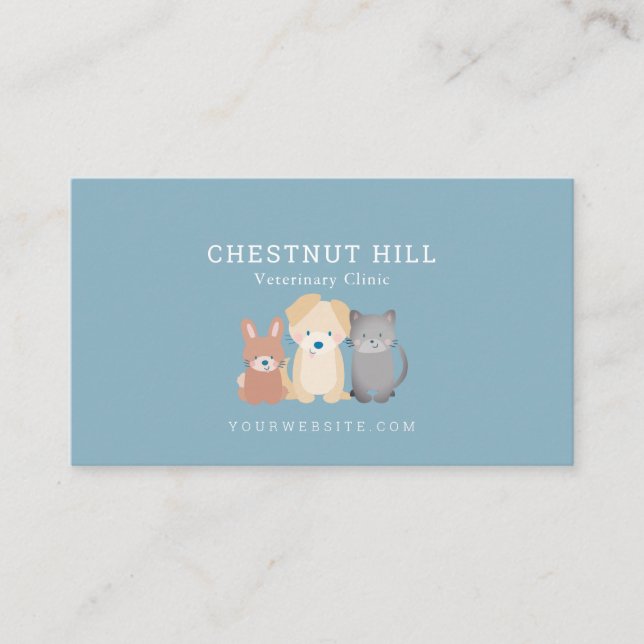 Tierklinik Slate Blue Business Card Visitenkarte (Vorderseite)