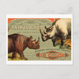 Tierkönigreich Nashorn Postkarte