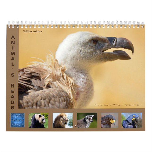 Tierköpfe 12 Monate Kalender (Titelbild)