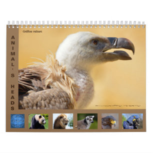 Tierköpfe 12 Monate Kalender
