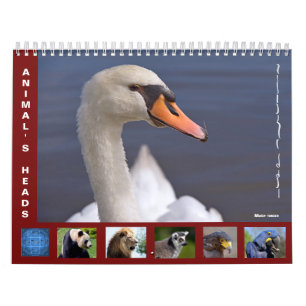 Tierköpfe 12 Monate Kalender