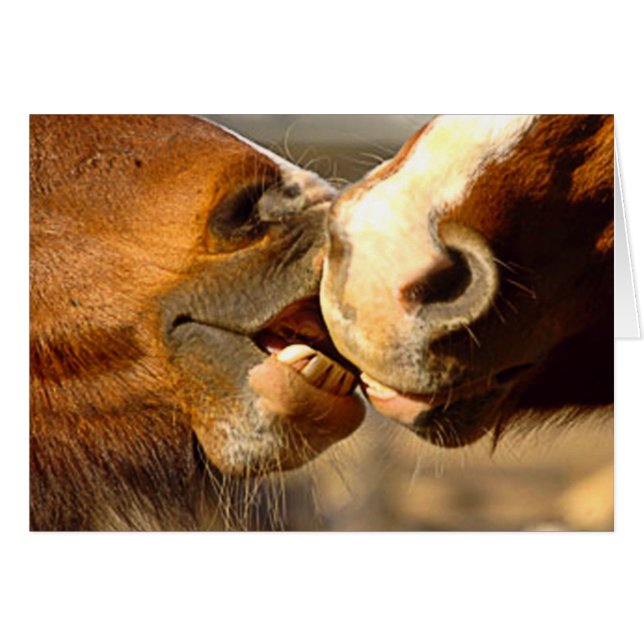 TierLiebe (Vorderseite (Horizontal))