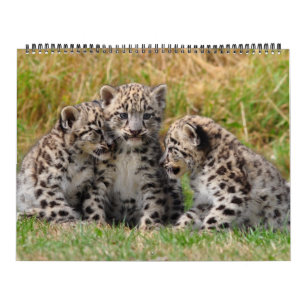Tierliebhaber 2012 kalender