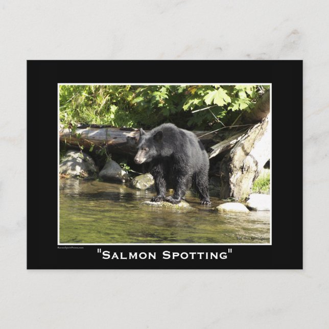 Tierliebhaber Design Postkarte (Vorderseite)