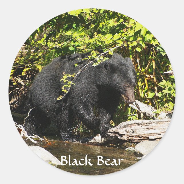 Tierliebhaber Design Runder Aufkleber (Vorderseite)