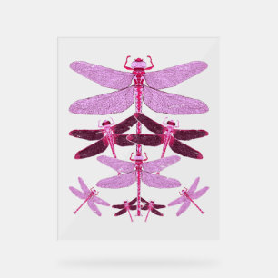 Tierliebhaber Insektengeschenk-Libelle Acrylschild