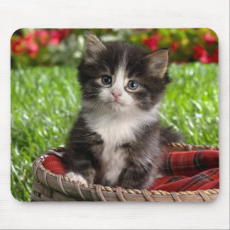 Tiermausunterlage 14 mousepad