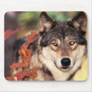 Tiermausunterlage 6 mousepad