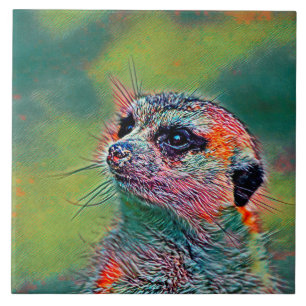 TierMix_Meerkat_009 Fliese