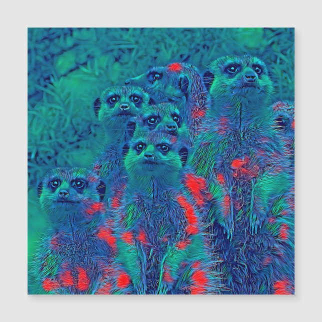 TierMix_Meerkat_015 Magnetkarte (Vorderseite)