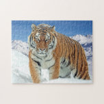 TiernaturfotoWinterschneeberge Puzzle<br><div class="desc">TiernaturfotoWinter Snow Tiger Berge Jigsaw Puzzle.</div>