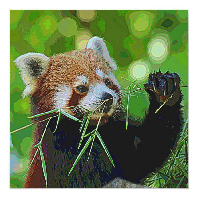 TierPaint_RedPanda_20171201_by_JAMColors Fotodruck (Vorne)