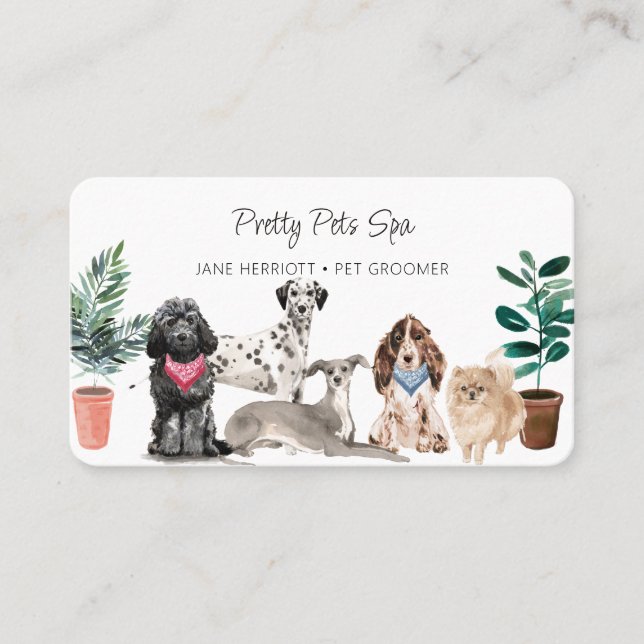 Tierpflege Pet Spa Visitenkarte (Vorderseite)