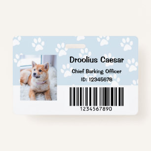 Tierpflege Veterinärmedizinischer Mitarbeiter im F Ausweis