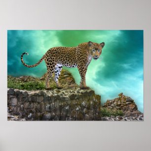 Tierportrait Wildkatze Poster