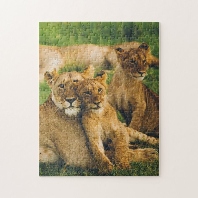 Tierrätsel Mutter und Baby Animal Lion Fotogr Puzzle (Vertikal)
