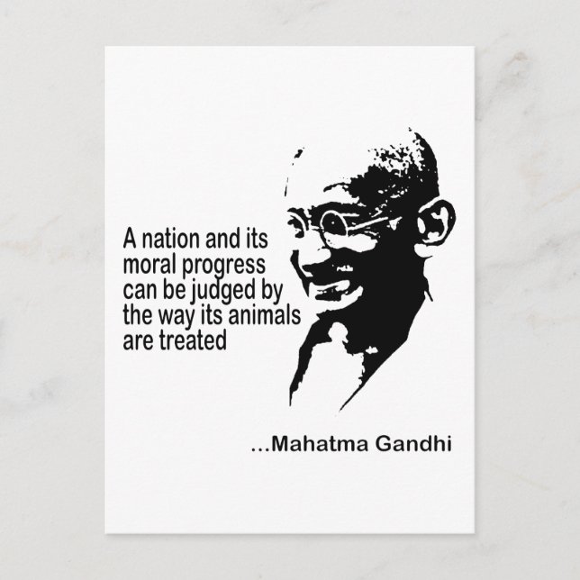 Tierrechte Postkarte (Vorderseite)