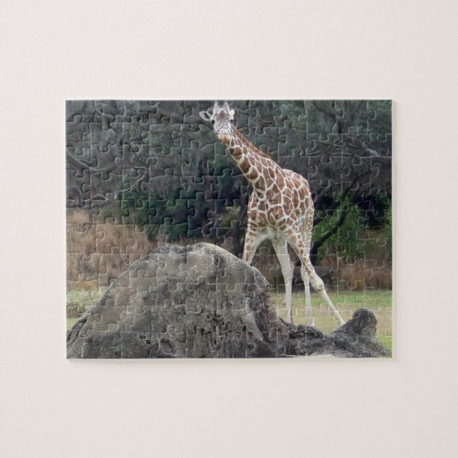 Tierreich Retikulatorische Giraffe Puzzle (Horizontal)