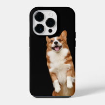 Tierreich - Tolles süßes Corgi