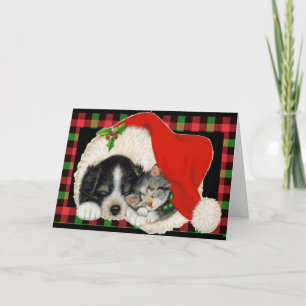 TierrettungsSanta Karte