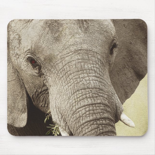 Tiersafari mousepads des afrikanischen Elefanten (Vorne)