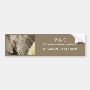 Tiersafariaufkleber des afrikanischen Elefanten Autoaufkleber
